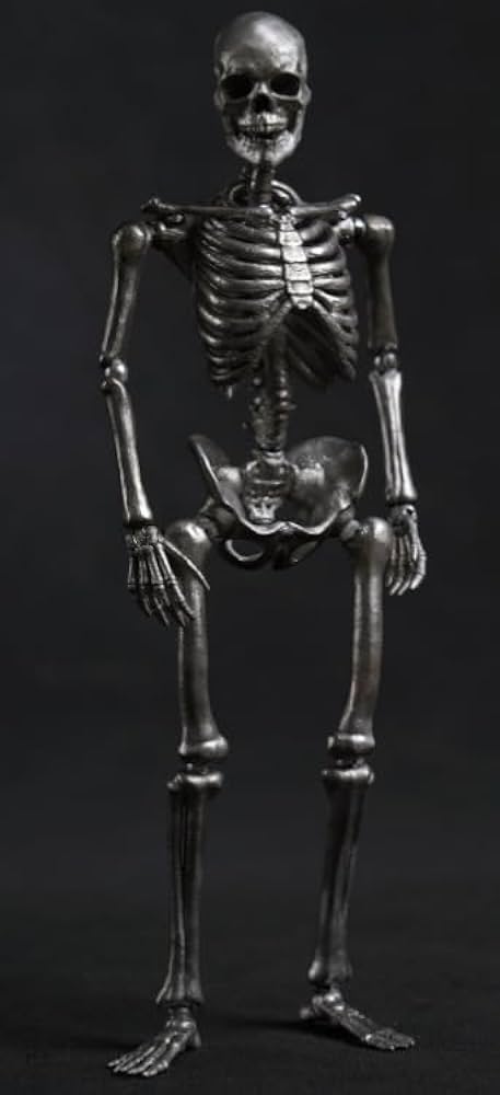 Amazon.co.jp: [AC]101TOYS 1/12 スケルトン NO.ES001銀色版