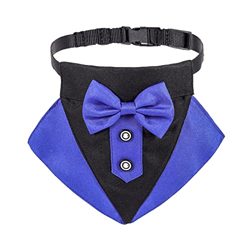 Verstellbares Halsband für Hunde, Hundehalsband mit schwarzer Krawatte, Hochzeit, formelle Hundehalsbänder für kleine, mittelgroße Hunde und Haustiere Zugstopp Halsband Welpe (Blue, L) Cover