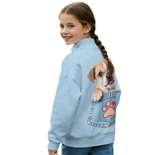 Girl's Pullover Sweatshirts Lightweight Loose 1/4 Zip Up Casual Fashion Tops Long Sleeve Shirt Hoodie Fall Jackets2