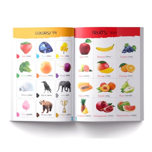 My First All in One : Bilingual Picture Book For Kids Hindi-English