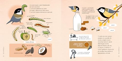 Conoscere E Proteggere La Piccola Fauna Urbana. Uccelli, Scoiattoli, Ricci, Api... - 5