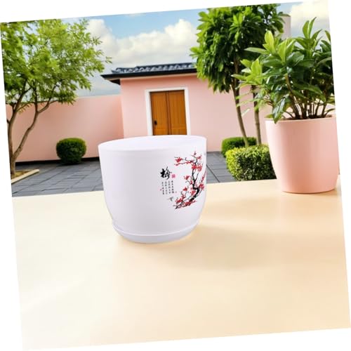Petit pot de cactus HEMOTON résine pour éviter l'encombrement