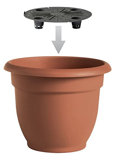 Bloem Ariana Self Watering Planter, 6", Calypso (Ap0627), 6-Inch, Teal #TOP5