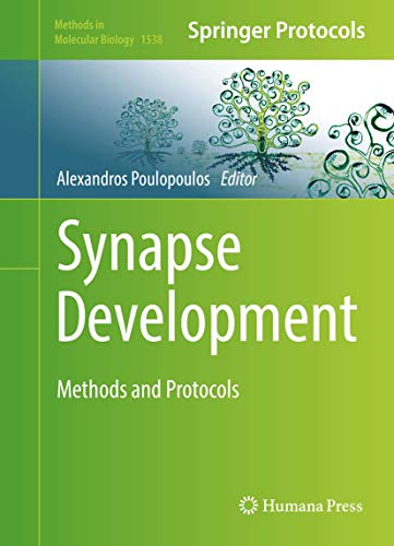 Synapse Development: Methods and Protocols: 1538 (Methods in Molecular Biology) view 2