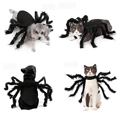 Dog Spider Costume, Spider Dog Costume Halloween Costume For Dogs Or Cats, Horror Simulation Plush Big Spider Wings Dress Up Halloween Party Decoration.（M） #TOP6