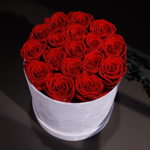 Prifroti 17 Flowers in a Luxury Suede Box, Birthday Gifts for Women, Preserved Flowers, Mothers Day Roses Gift for Mom, Red by Prifroti - Image 4