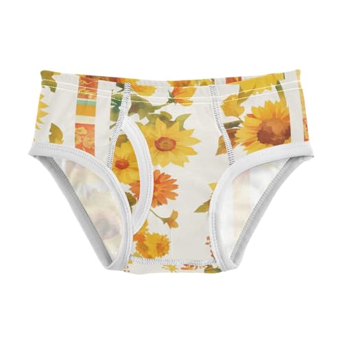 KLL Boho Style Sunflowers Boys Toddler Comfort Briefs Underwear Cute Children Panties