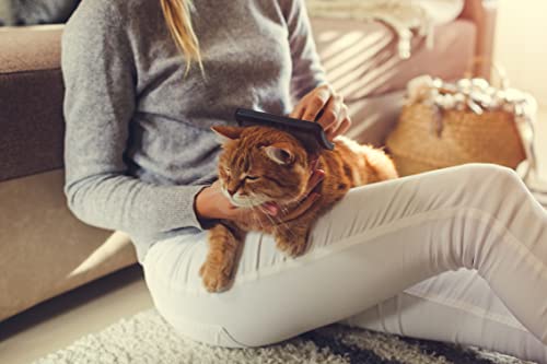 Lammfellbürste für Lammfelle und Schaffelle, Universal-Pflegebürste mit Softgriff, Hundebürste Langhaar, Fellbürste für Haustiere, Hunde Bürste und Katzenbürste Langhaar Kurzhaarbürste, schwarz/rot