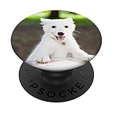 PopGrip dispose d'un PopTop remplaçable; éteignez votre PopTop pour un autre design ou supprimez-le complètement pour des capacités de charge sans fil. (Non compatible avec le chargeur sans fil Apple MagSafe ou le portefeuille MagSafe).