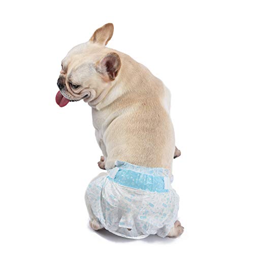 Wags & Wiggles Dog Diapers Doggie Diapers for Female Dogs and Male