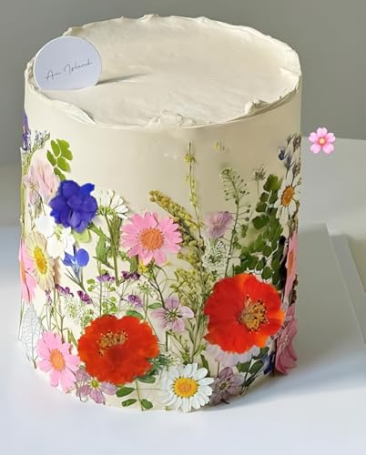 Natural Real Dried Pressed Mix Flower Leaf, 48 piezas miniatura 2