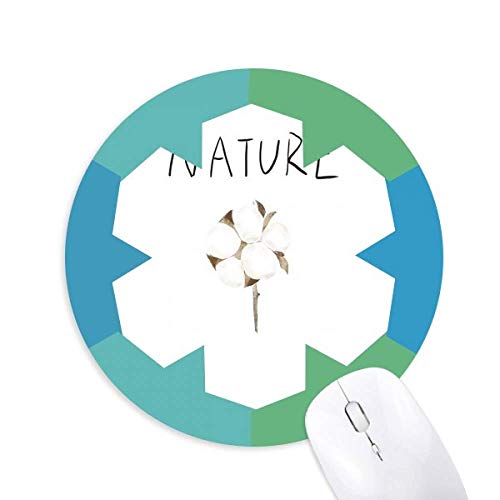 �Ԃ̐A��soloisland�G �~�`����S���̐�}�E�X�p�b�h