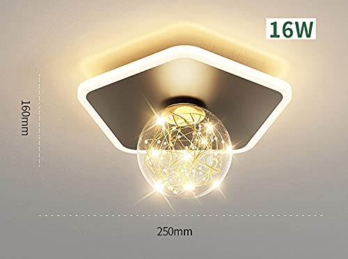Lámparas de techo pequeñas de 16W para iluminar un guardarropa oscuro 6