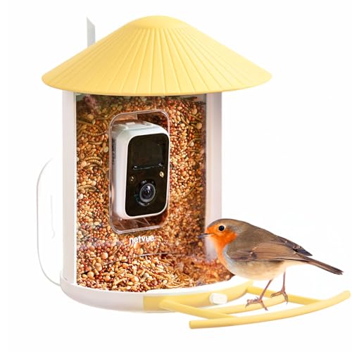 NETVUE Smart Bird Camera, Auto-Identify, Notify, Records Bird Video | Outdoor Bird Feeder | Birdwatching Camera Gift, Yellow Without Solar Panel