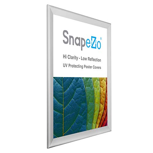 image for SnapeZo Photo Frame 16x20 Inches, Silver 1.7 Inch Aluminum Profile, Fr
