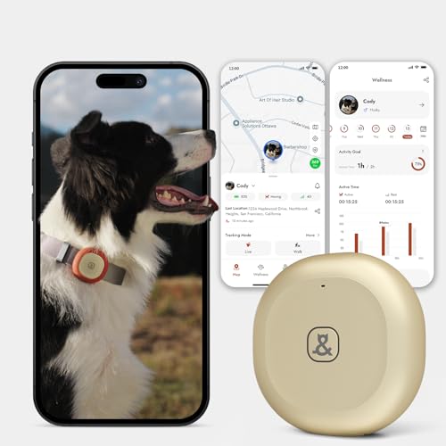 Image of Molly&Cody GPS + Bluetooth Pet Tracker for Cats & Dogs - Real‑Time Tracking, Virtual Fence, IP67 Waterproof, Up to 60‑Day Battery, Health Monitoring, iOS /Android - Subscription Required (Gold)