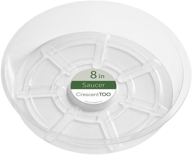 植物受け皿 RND CLR 8インチ Eightpot Plant Water Catcher トレイ