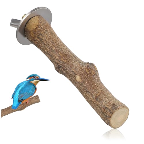 STOBOK ؐ܌p[`X^h tp XeXuPbgt ^CR IJCR ~ߕ\ ϋv