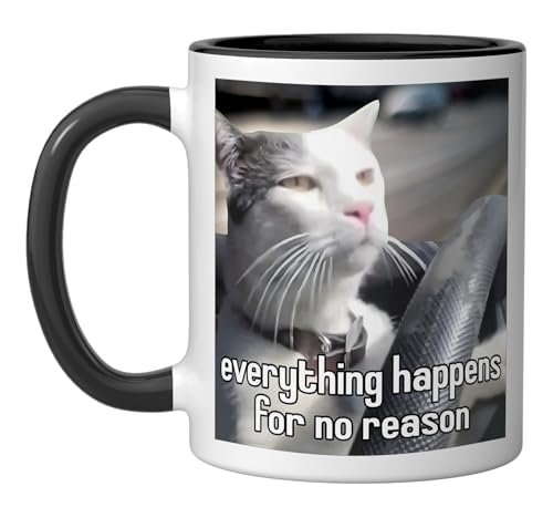 Everything Happens For No Reason Cat Driving A Car Meme