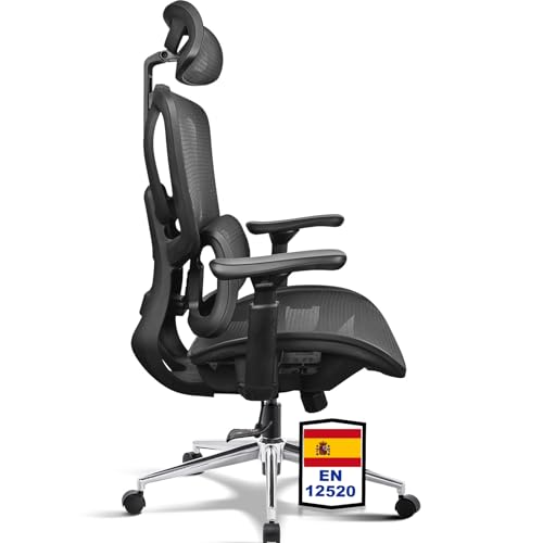 MELOKEA Silla de Oficina 200 KG | Silla ergonómica ganadora de Pruebas | 9P Soporte Lumbar Ajustable | 4D+Magic apoyabrazos | Silla de Oficina con Bloqueo de 3 etapas y Respaldo