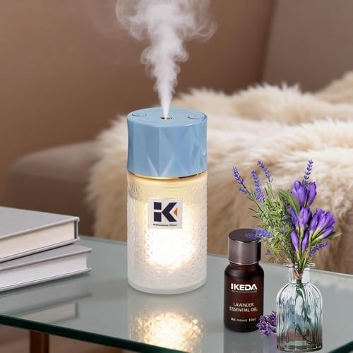 Glass Oil Diffuser with Negative Ions