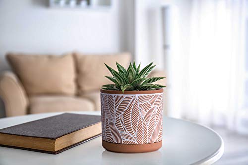 Set Of 2 Terracotta Pots, Leaves Pattern Planter Pot, 4 Inch And 6 Inch, Pot With Drainage Hole And Saucer, Terracotta/White, 31-958-I-1 #TOP5