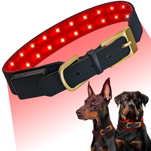 Red Light Therapy for Dogs Collar – Infrared & Red Light Therapy Device with 660nm&810nm & 980nm Wavelengths, Wearable Support for Muscle Comfort, Pain Relief, Skin & Tissue Support and Daily Wellness