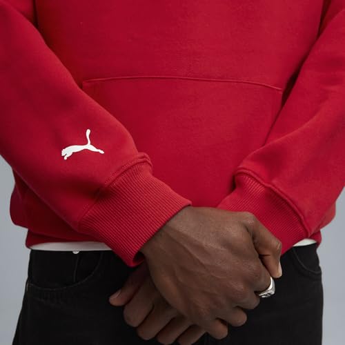 Image of Puma Men Hoodies
