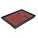 Spectre Performance HPR9838 Air Filter