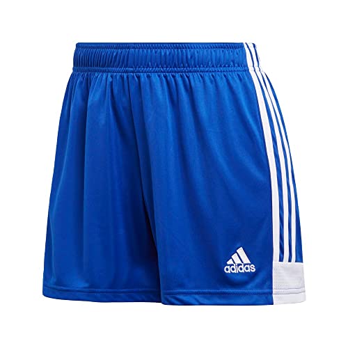 adidas Women's Tastigo 19 Shorts, Bold Blue/White, X-Large