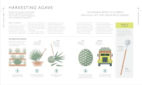 Tequila: A Tasting Course pour apprendre à déguster sans erreur