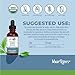 MaryRuth's Kava Root Liquid Extract for Calm & Relaxation | Nervine & Adaptogenic Herbal Blend | USDA Organic | Sugar Free | Gluten Free | Vegan | Non-GMO | Ages 14+ | 1 oz | 30 Day Supply