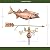 Bass with Arrow Weathervane - Pure Copper