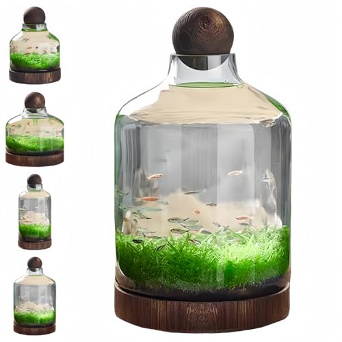 ShineLuxe金魚鉢、透明ガラス、和風デザイン、多用途、室内装飾兼飼育容器 (大型ウェルスボトルセット【エコ水槽+水草泥+水草の種】)