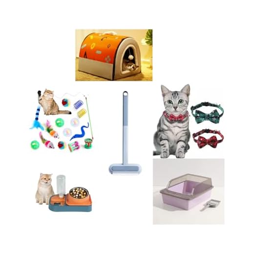 Complete Kitten Starter Package