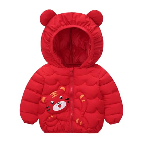 [TXWZM] _EWPbg LbY ̎q xr[ ̎q  R[g ȃWPbg t[ht AE^[  ӂӂ Wp[  q j̎q OJ t[X AE^[EGA N ~ ʉ ʊw AEghA ۉ tH