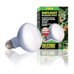 Exo Terra 75W Daylight Basking Spot Lampe