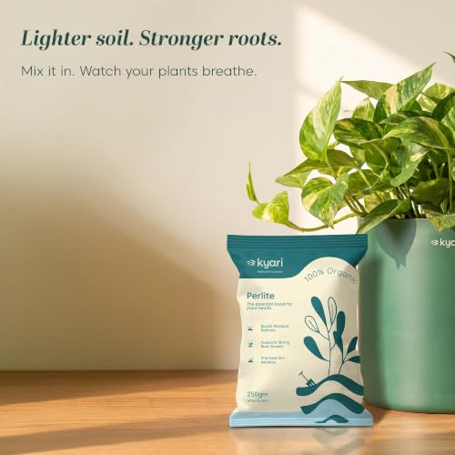 Image of Kyari Perlite 250g for Plants Horticulture soil for Drainage & Aeration