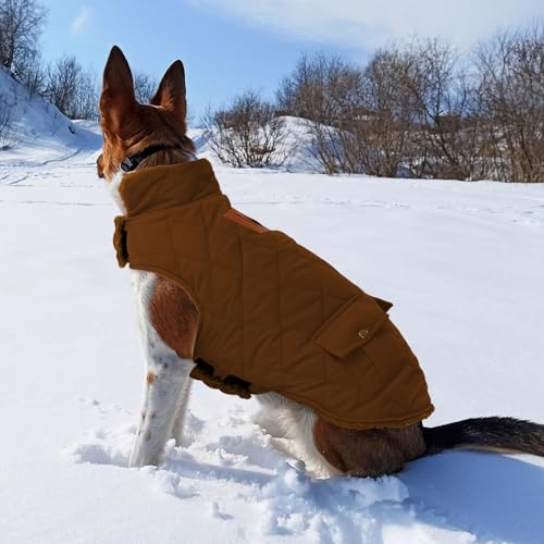 CITÉTOILE Wintermantel Hundemantel, Warme Winterjacken mit Fleece für Hunde,Hundejacke Hundekleidung Hundepullover Dog Coat mit Geschirr Loch für Chihuahua Dackel, Braun, M
