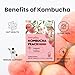 Unha's Everyday Kombucha Tea Powdered Beverage, 20 Sticks, Sparkling Powder Drink, Prebiotics, and Probiotics Sugar-Free - Peach Flavor