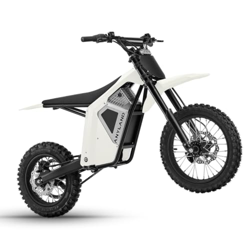 3000W Electric Dirt Bike