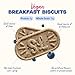 Sweet Loren's Vegan Breakfast Biscuits | Blueberry | 4g Protein, 19g Whole Grains | Plant Based, Gluten Free, Dairy Free, Nut Free Snacks | Grab & Go 8 Pack (24 Total Biscuits, 1.6 ounce each)