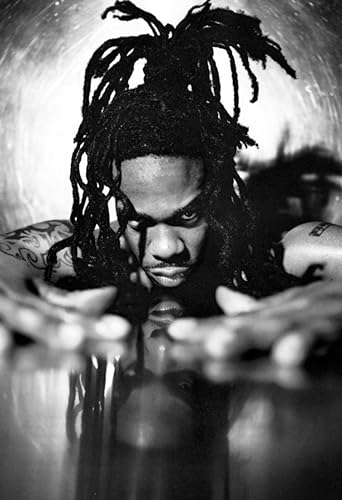 Busta Rhymes Poster, Rapper, Hip-Hop, Rap Music, Art Print