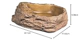 Exo Terra bol reptile grand modèle, 22,1 cm, avec escalier photo 3