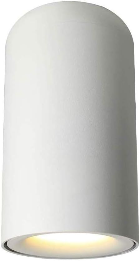 Recessed 9W Downlight Surface Mounted Spotlight High Bright COB Cylinder Ceiling Lighting Fixture AC 110V-240V 3000K/4000K Accent Lamps for Hallway Corridor Kitchen Living Room Integrated