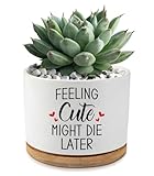 AKAQCHANG Feeling Cute Might Die Later,3.5 inch Ceramic Succulent Cactus Planter Pots,Funny Planters for Indoor Plants,Home Office Pot Decor,for Women Teacher Grandma Plant Lovers(Plant Not Included)