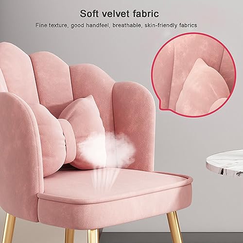 Chaise salle à manger velours confortable assise ergonomique