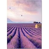 ♥【Do-it-yourself-Spaß】: Handgefertigte Diamantmalerei ist geeignet, um die praktischen Fähigkeiten und die Geduld der Menschen zu entwickeln, Stress abzubauen, Emotionen zu regulieren, das Selbstvertrauen zu verbessern und die Freude am Erfolg zu erleben, nachdem sie ein schönes dekoratives Gemälde fertiggestellt haben.