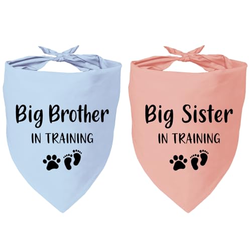 2 Pack Dog Bandana Pregnancy Announcement, Big Brother Sister in Training Gender Reveal Puppy Dog