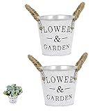 Cubo para Plantas En Macetas Bonsai Maceta Seca De Hierro Jardineras Maceta De Hierbas Cubo De Flores RúStico Maceta Creativa Vintage para Arreglos Florales JardíN Interior BalcóN Exterior(2 Piezas)